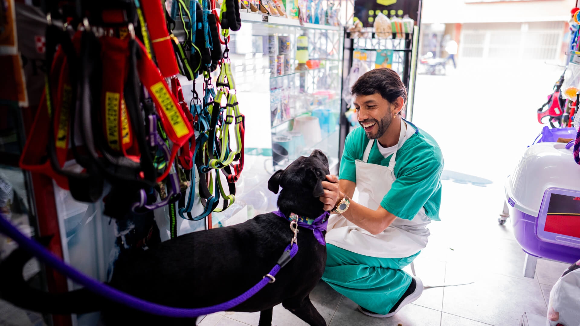 Pet Care